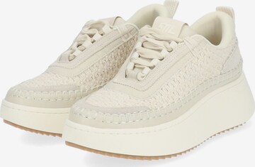 Baskets basses STEVE MADDEN en beige