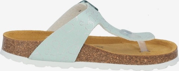 Palado Sandals 'Kos' in Blue