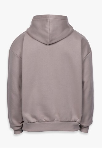 Felpa di Dropsize in grigio