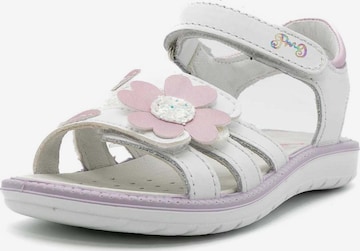 PRIMIGI Sandals 'Alanis' in White: front