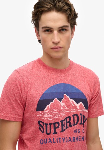 Superdry Shirt in Pink