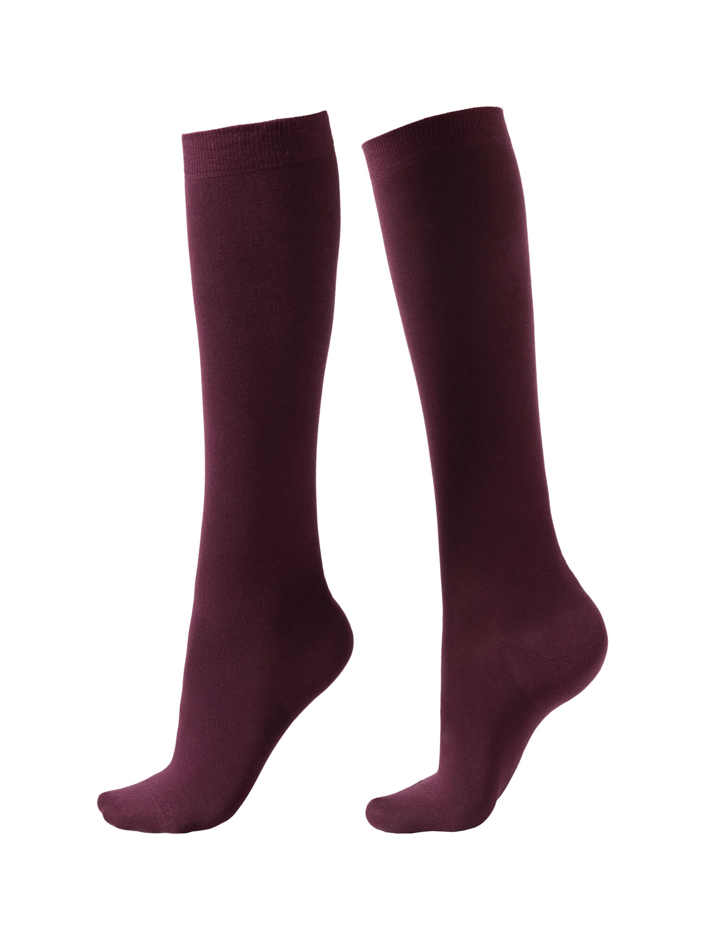CALZEDONIA Socken in Rot: Vorderseite