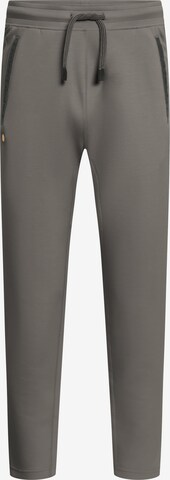 GOLD´S GYM APPAREL Sportbroek 'Eric' in Grijs: voorkant