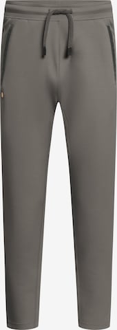 GOLD´S GYM APPAREL Tapered Workout Pants 'Eric' in Grey: front