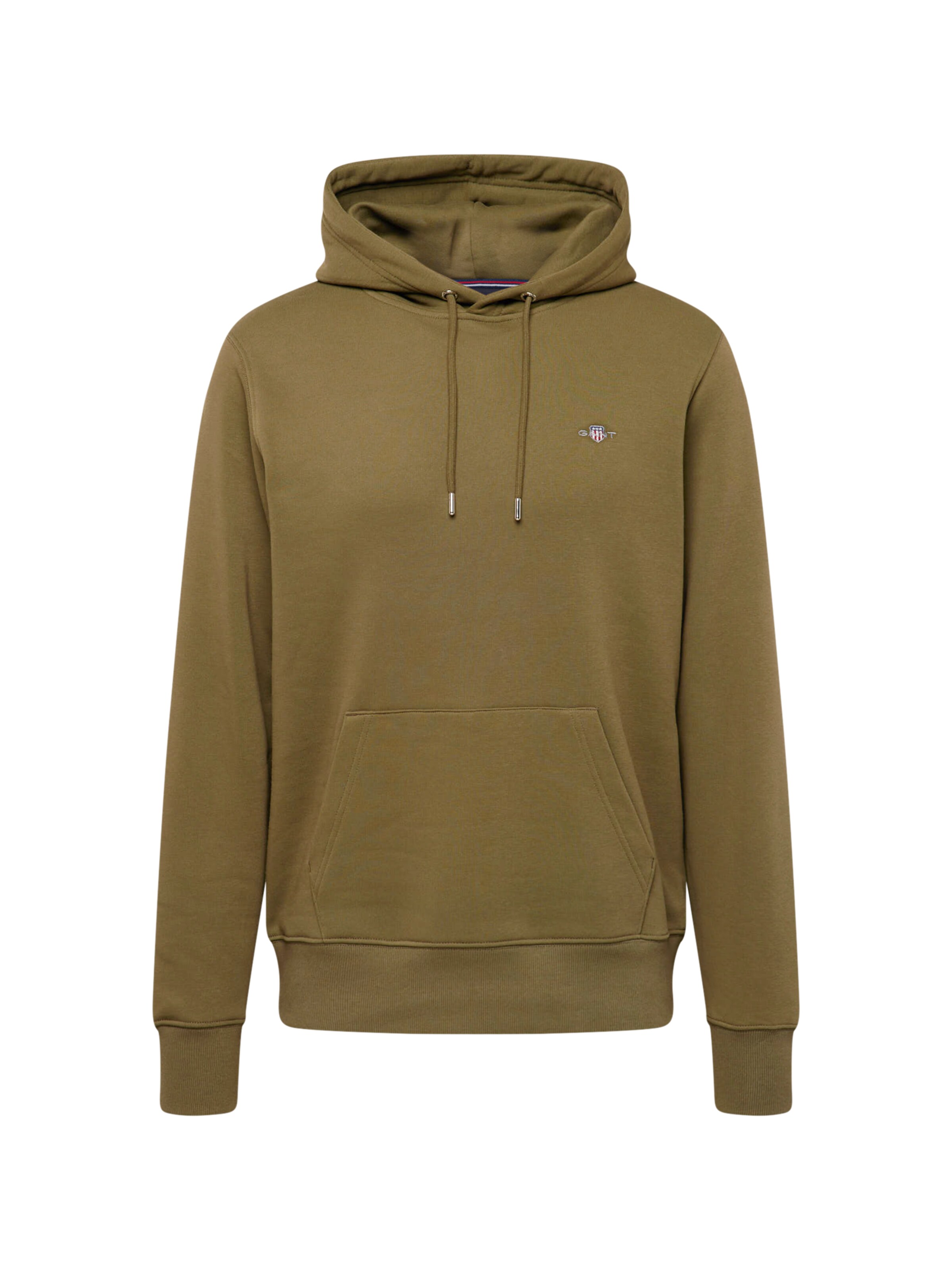 GANT Sweatshirt in Green: front