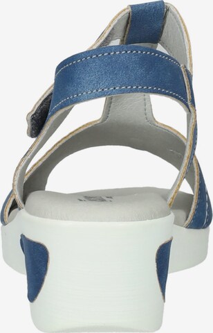 Arcopedico Sandals in Blue