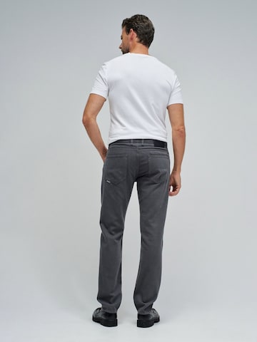 Salsa Jeans Regular Chino trousers in Grey