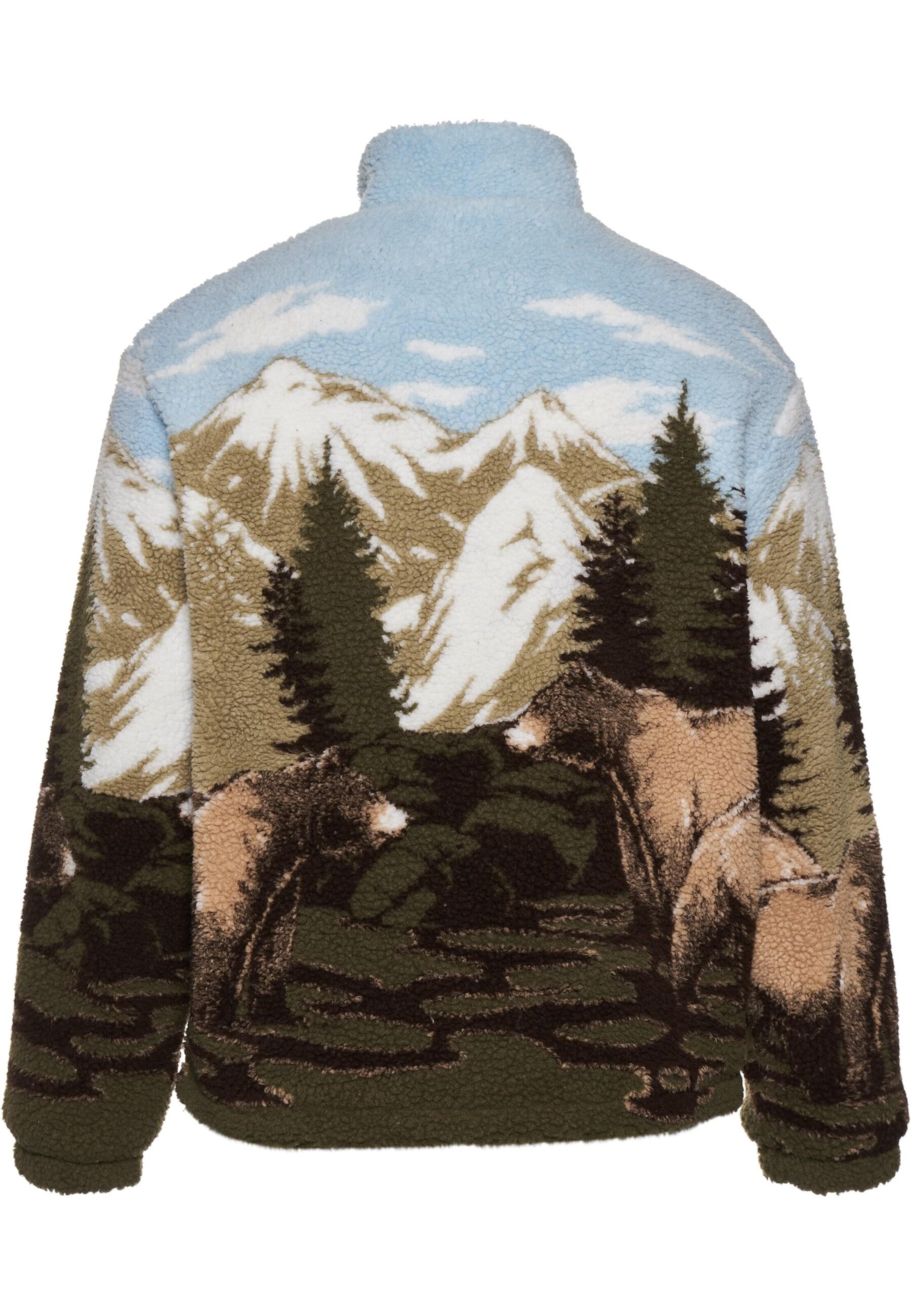 Karl Kani Sweatshirt in Green