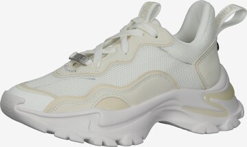 STEVE MADDEN - Zapatillas deportivas bajas en blanco: frente