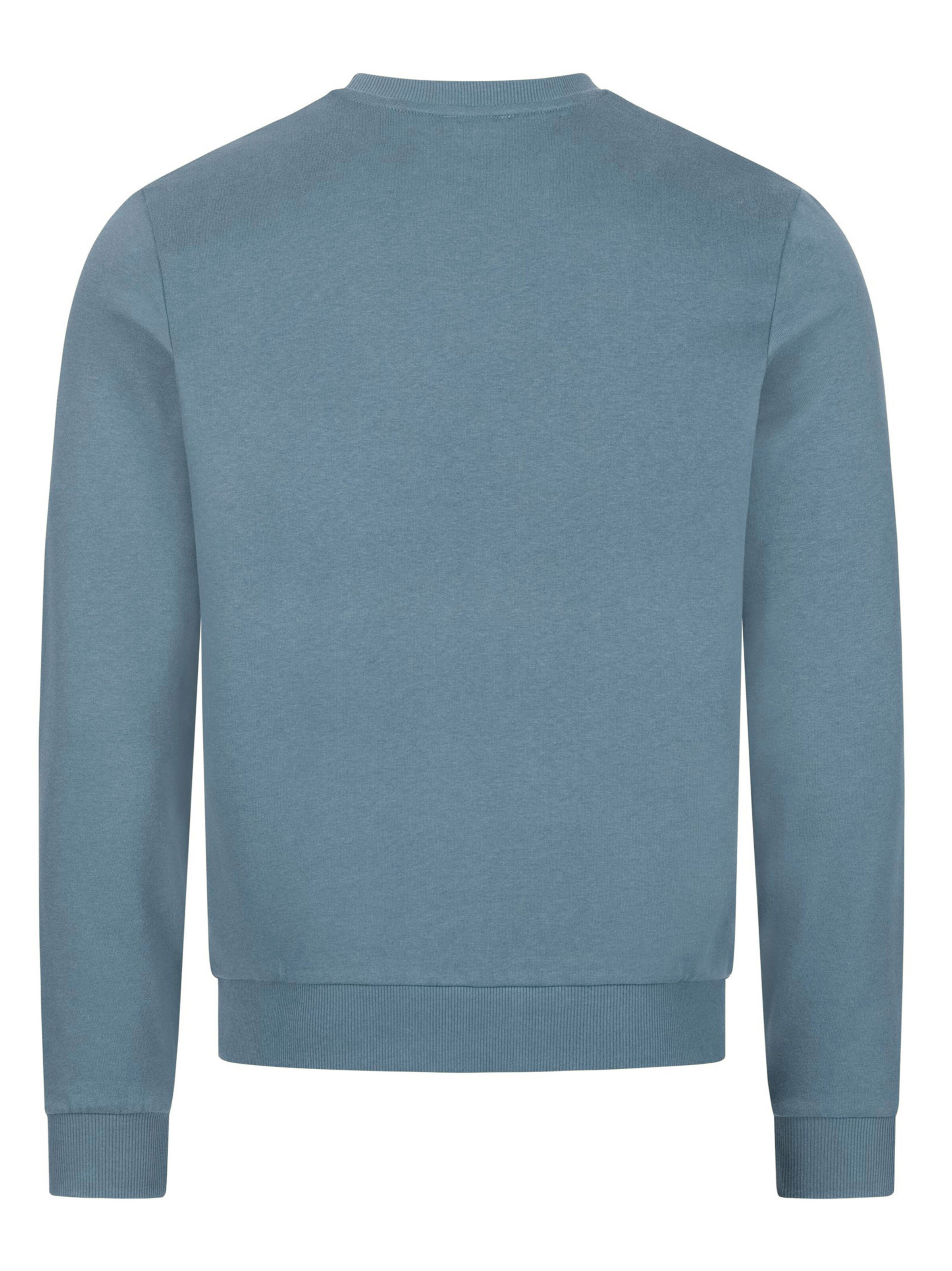 U.S. POLO ASSN. Sweatshirt in Blue