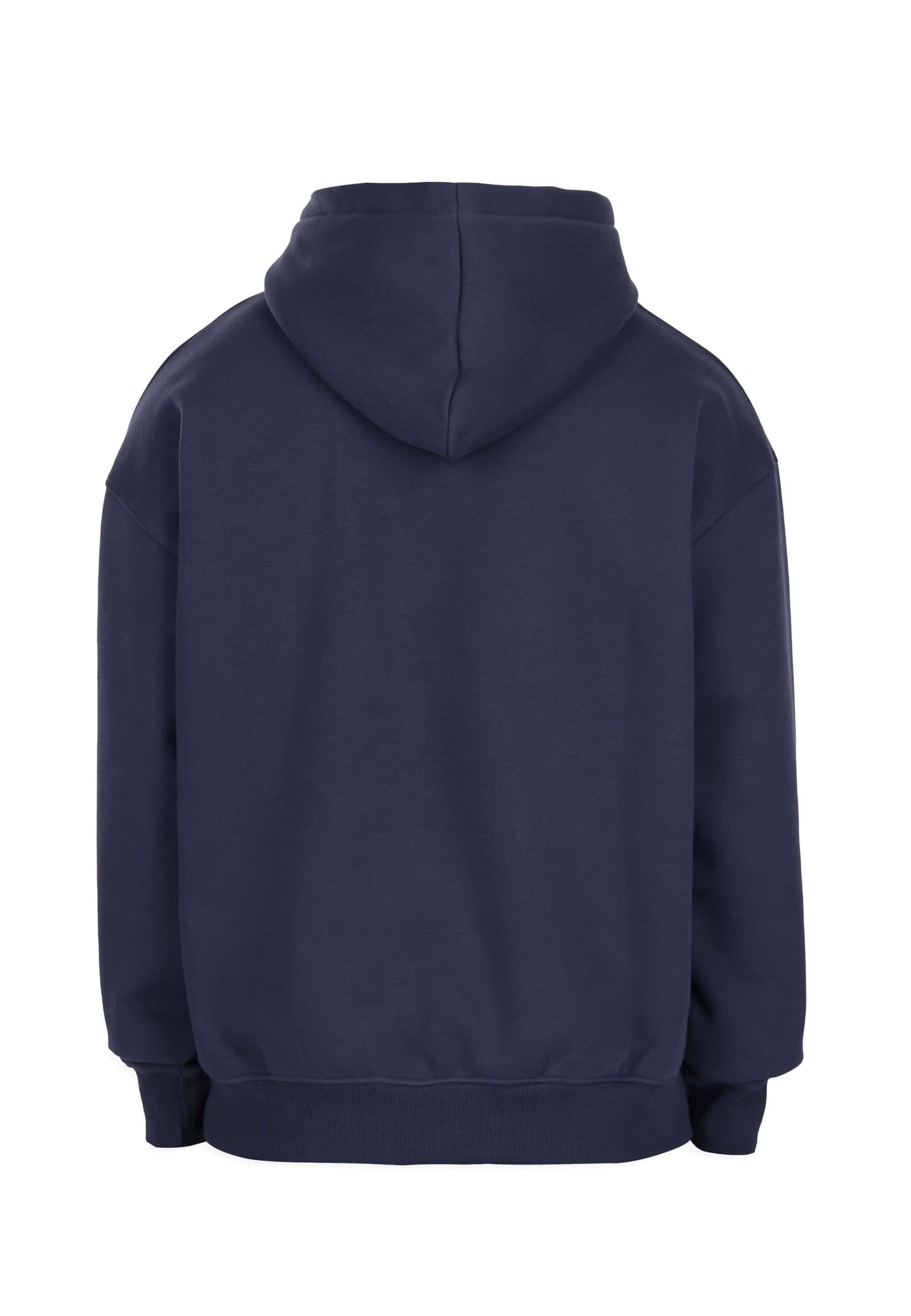 Dropsize Sweatshirt in Blauw