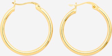 EDITED Earrings 'Ariya' in Gold: front