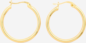 Boucles d'oreilles 'Ariya' EDITED en or : devant