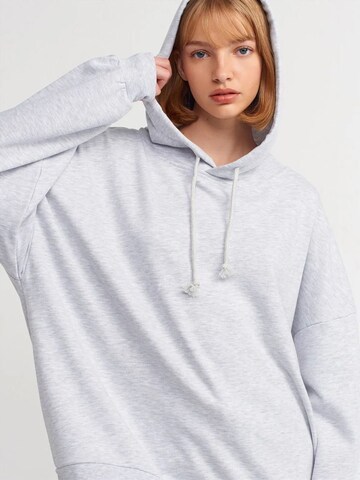 Dilvin Sweatshirt in Grey