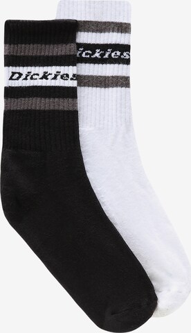 DICKIES Ponožky 'Genola' – černá: přední strana