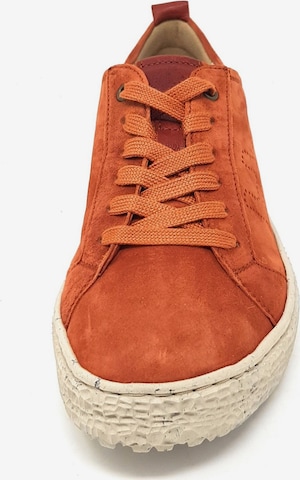 Hartjes Sneakers in Orange