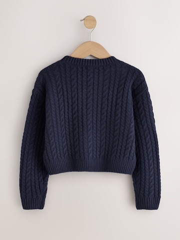 Next Trui in Blauw