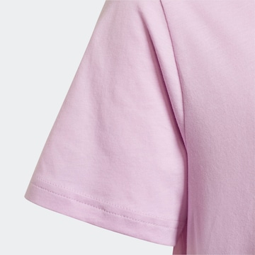 ADIDAS ORIGINALS Koszulka 'Adicolor' w kolorze fioletowy