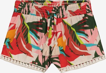 Regular Pantalon Shiwi en mélange de couleurs : devant