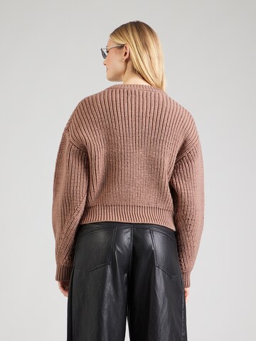 Cardigan & Other Stories en marron