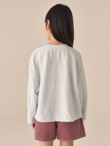 Next Shirt in Blauw