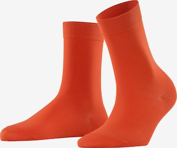 FALKE Socken 'Cotton Touch' in Orange: Vorderseite