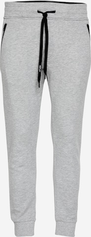 REPLAY Hose in Grau: front