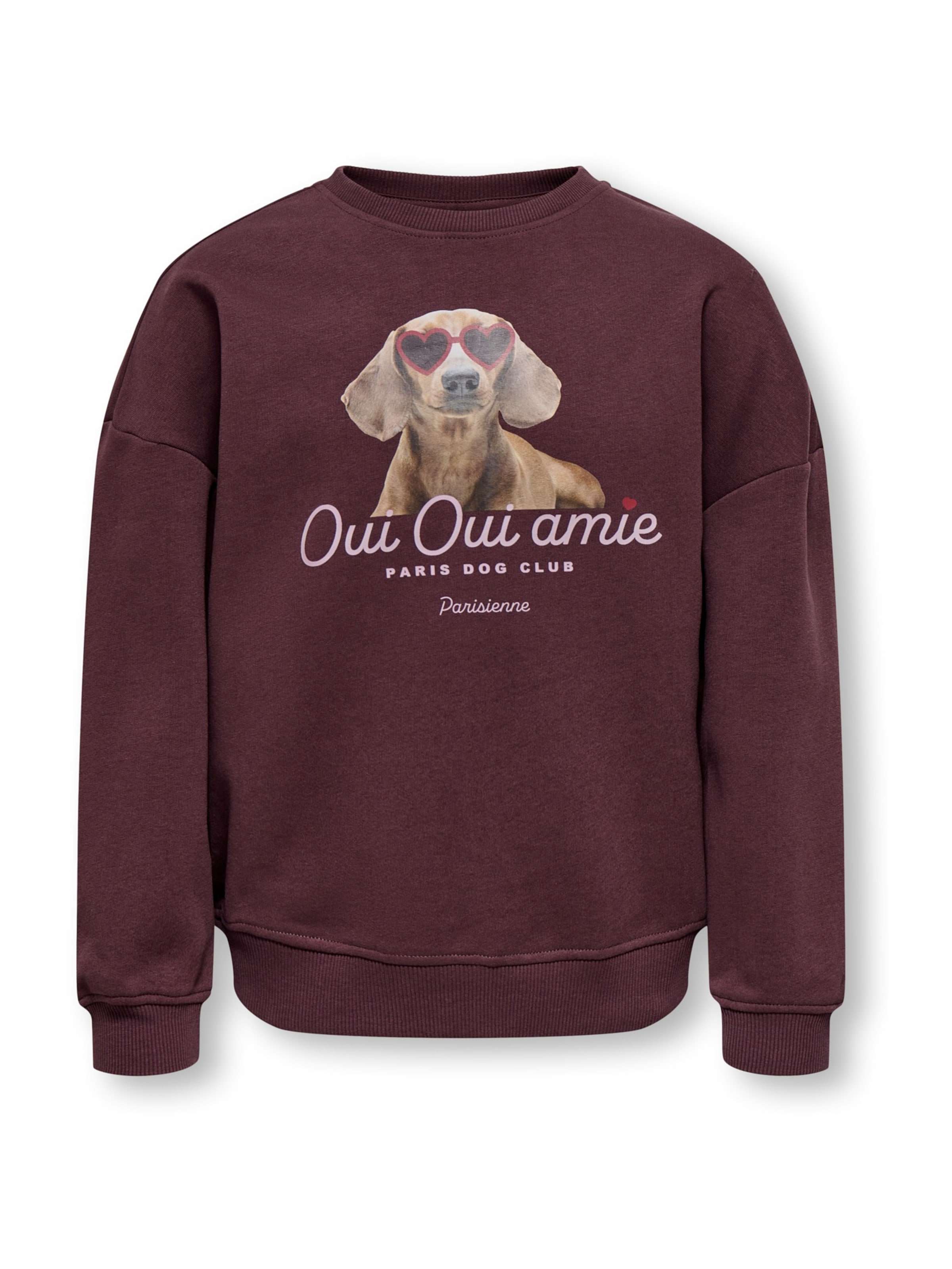 Sweat-shirt 'KOGBILA' ONLY GIRLS en marron : devant
