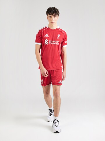 ADIDAS PERFORMANCE - regular Pantalón deportivo 'LFC' en rojo