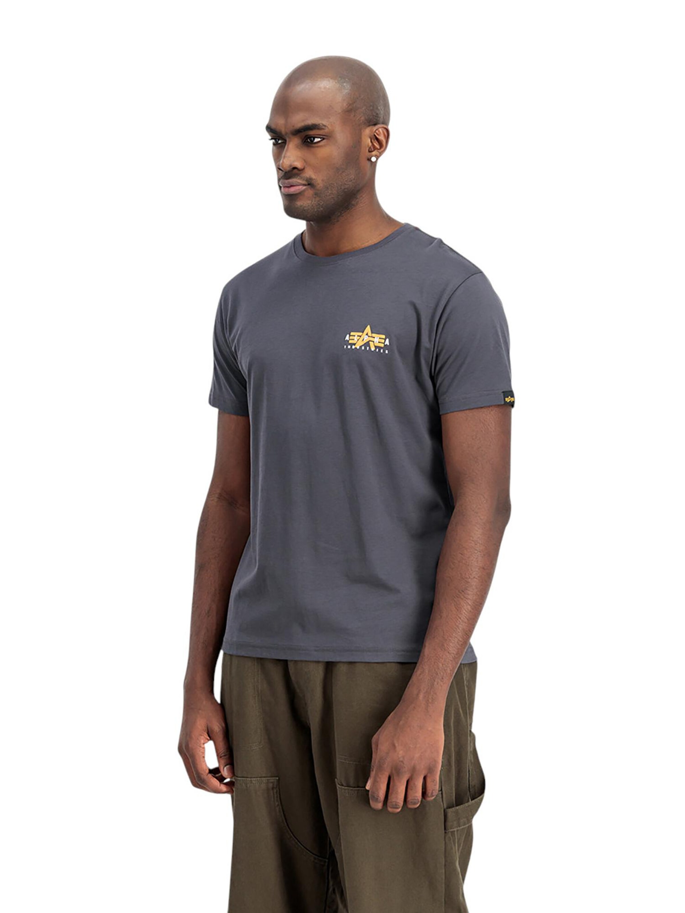 ALPHA INDUSTRIES T-Shirt in Grau