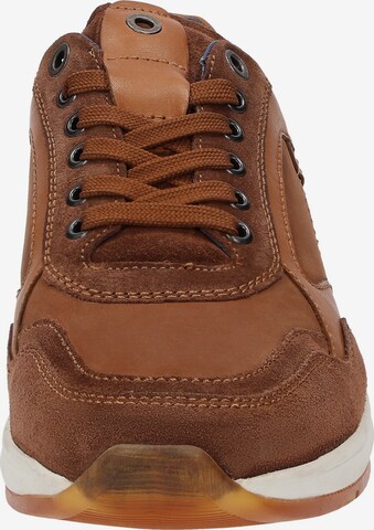 SIOUX Sneaker 'Turibio-711-J' in Braun