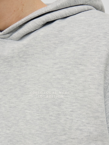 JACK & JONES Dressipluus 'JCOInterlude', värv hall