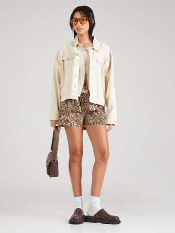 BDG Urban Outfitters Normalny krój Spodnie w kolorze brązowy
