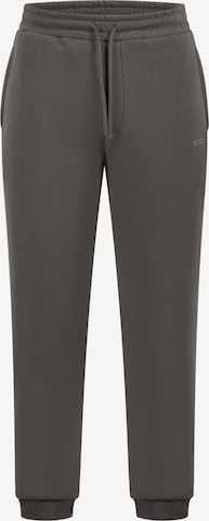 Smilodox Pants in Grey: front