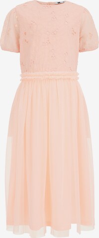 WE Fashion Dress in Pink: front