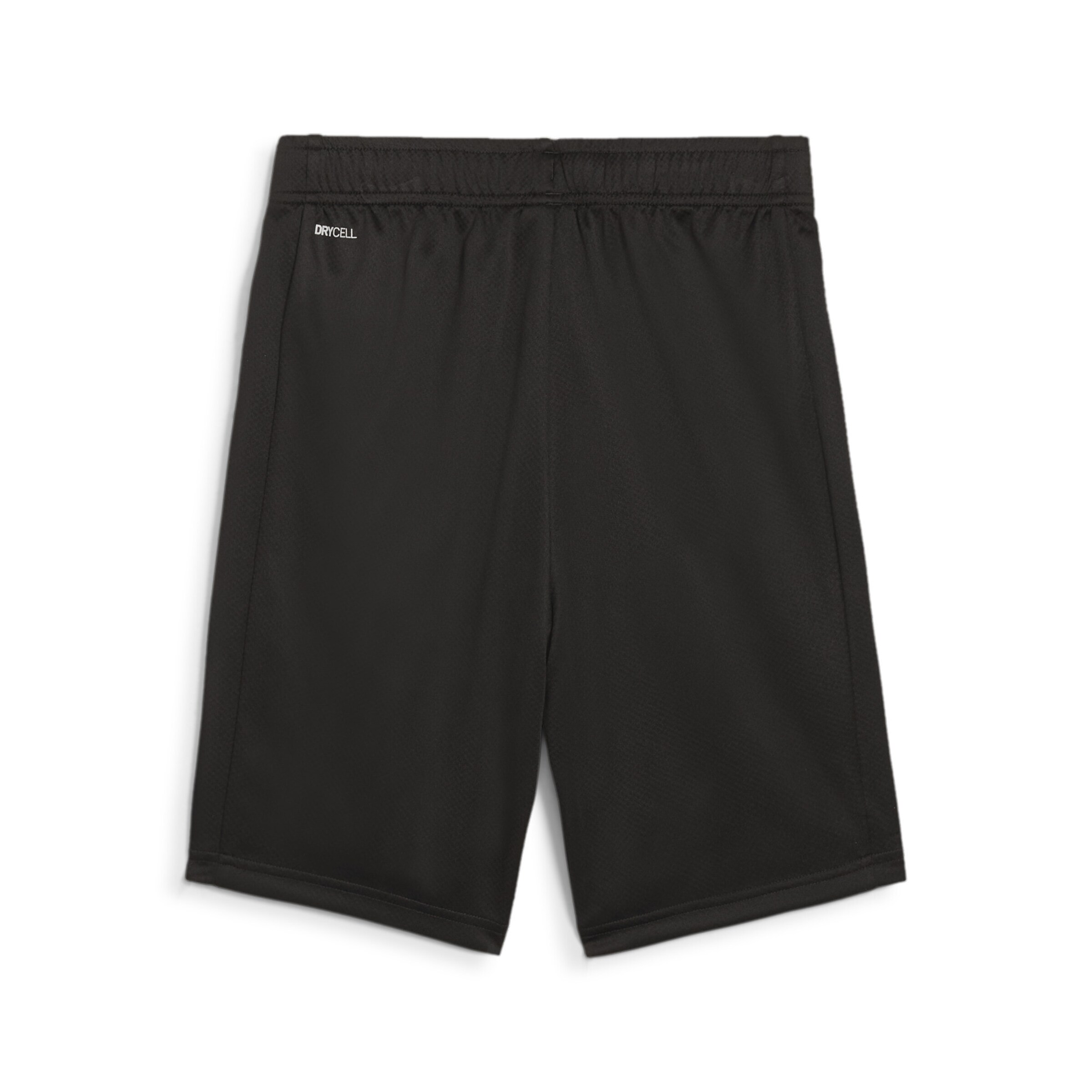 PUMA Regular Workout Pants 'Active Sports' in Black