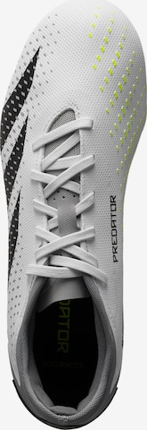 Chaussure de foot 'Predator Accuracy.3' ADIDAS PERFORMANCE en blanc