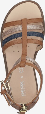 GEOX Sandals 'Karly' in Brown