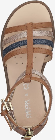 GEOX Sandals 'Karly' in Brown