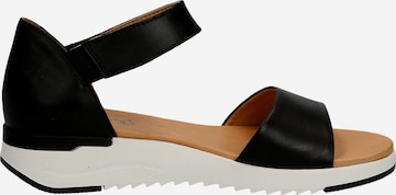 CAPRICE Sandals in Black
