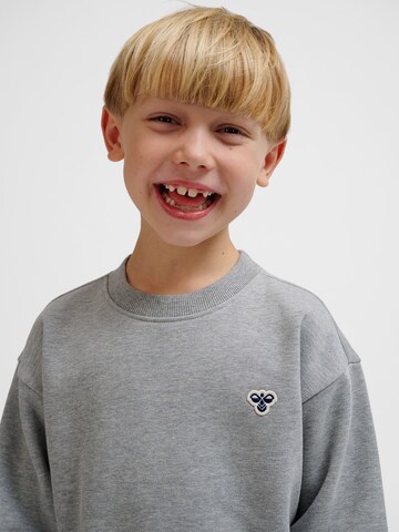 Sweat Hummel en gris