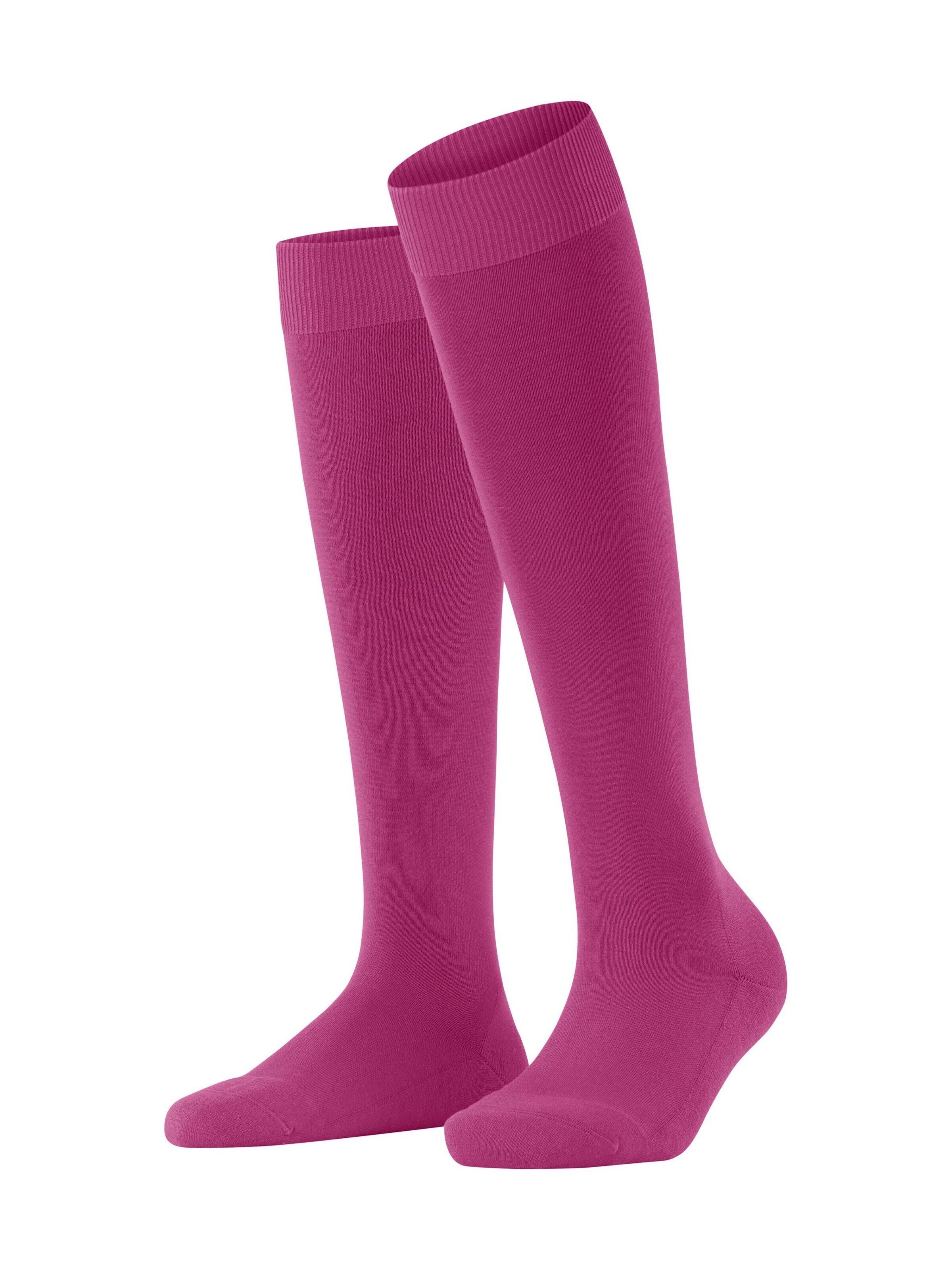 FALKE Kniestrümpfe 'ClimaWool'‌‌‌‌‌‌ in Lila: Vorderseite