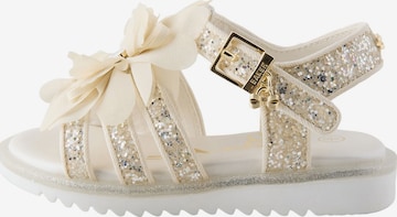 Baker by Ted Baker Sandalen in Goud: voorkant