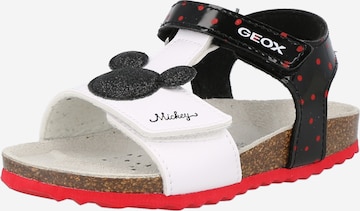 GEOX - Sandalias 'Chalki' en negro: frente