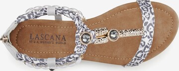 LASCANA Sandalen met riem in Grijs