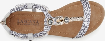 LASCANA Sandalen met riem in Grijs