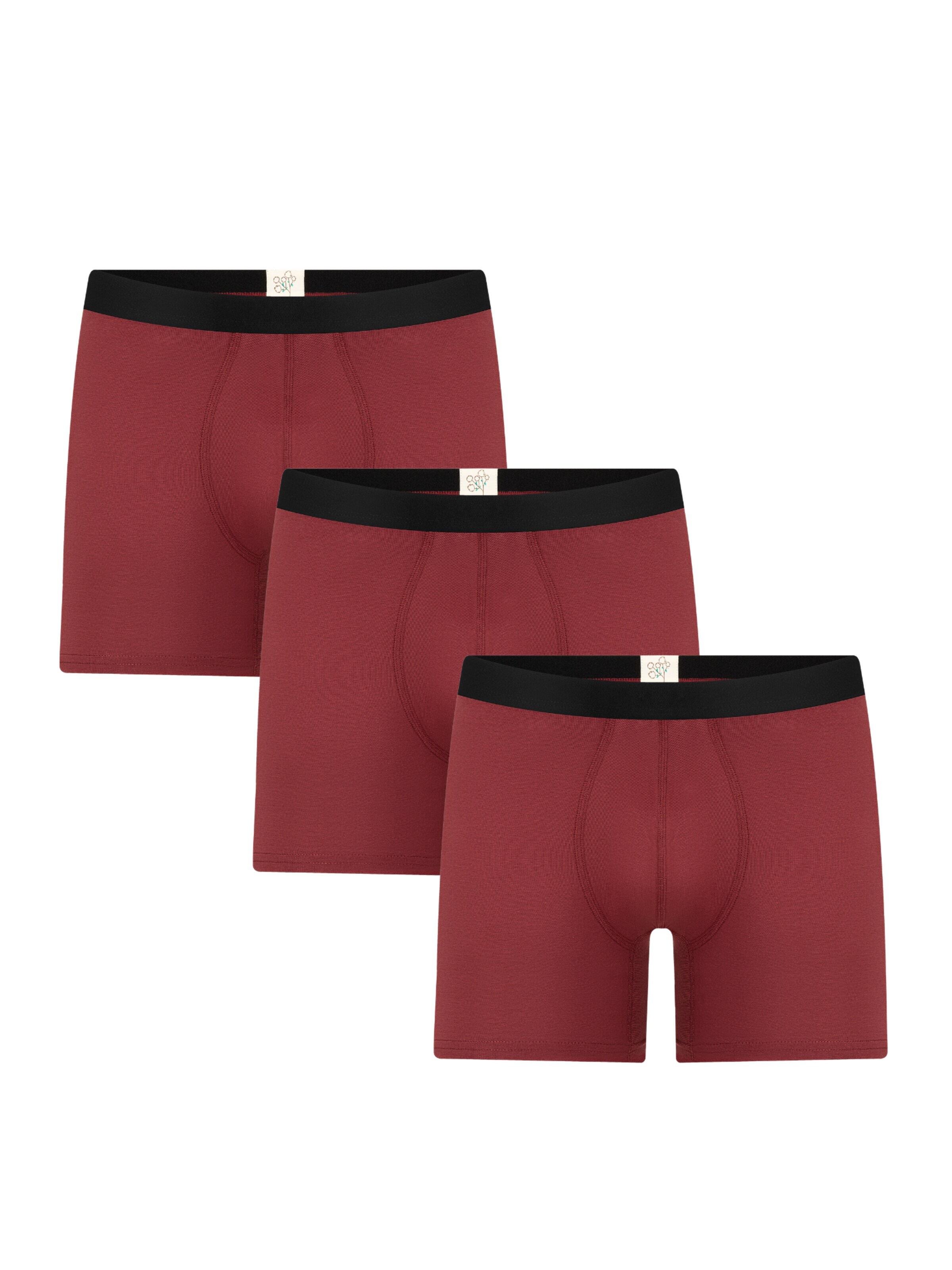 Albero Natur Long Johns 'Long underpants 'Bio-Baumwoll-Herren Long Trunks - 3er Pack'' in Red: front