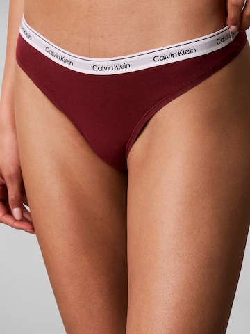 Calvin Klein Underwear String in Mischfarben