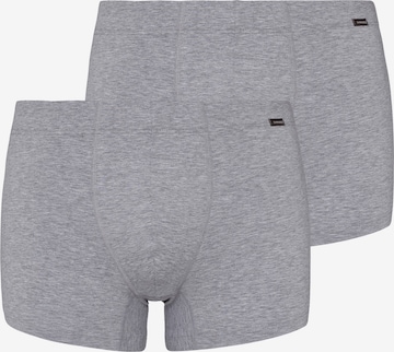 Hanro Pants 2-Pack ' Cotton Essentials ' in Grau: predná strana
