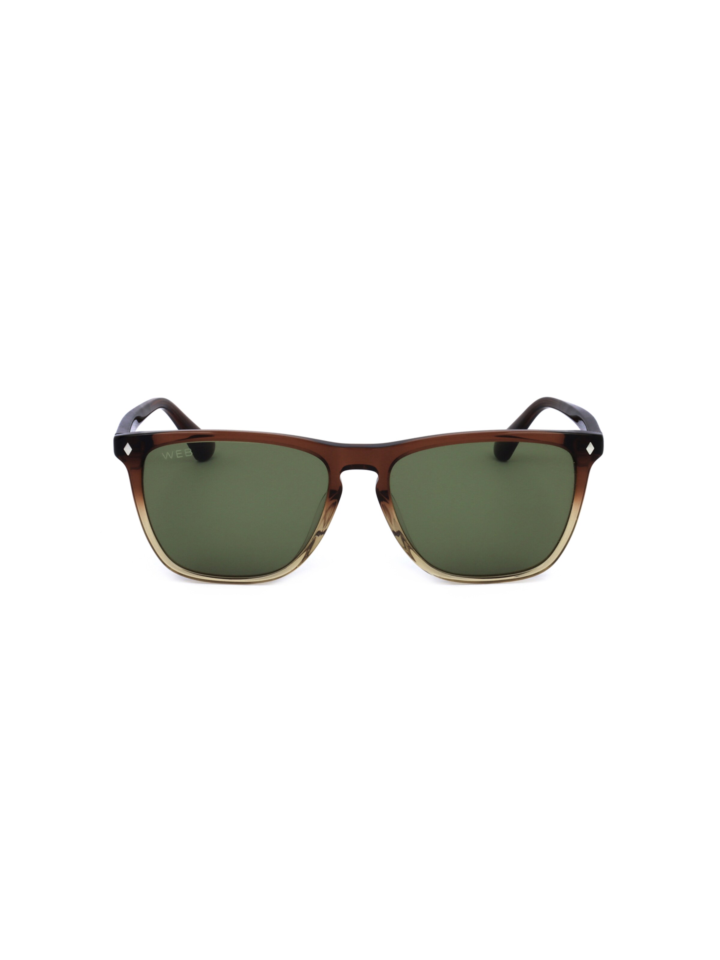 Occhiali da sole 'WE0363' di Web Eyewear in marrone